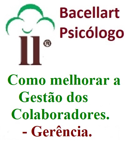 Como melhorar a gestão dos colaboradores - Bacellart Psicólogo USP