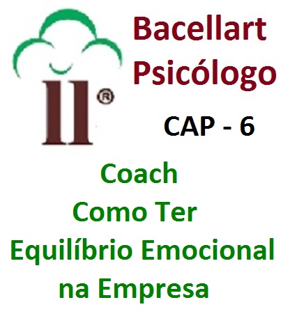 Como Ter Equilíbrio Emocional Empresa Carreira - Bacellart Psicólogo USP 6